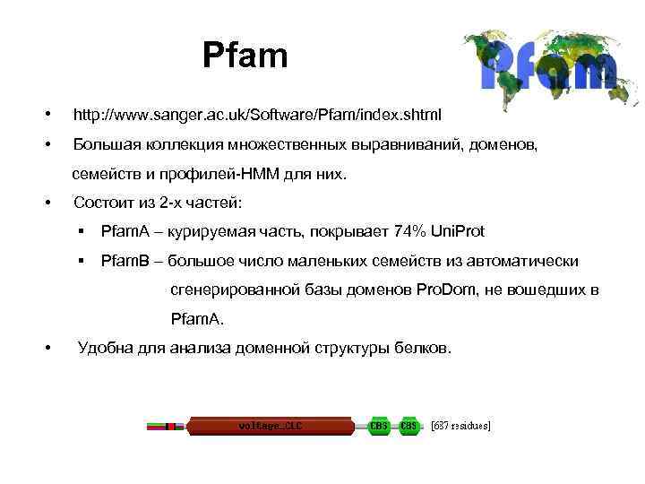 Pfam • http: //www. sanger. ac. uk/Software/Pfam/index. shtml • Большая коллекция множественных выравниваний, доменов,