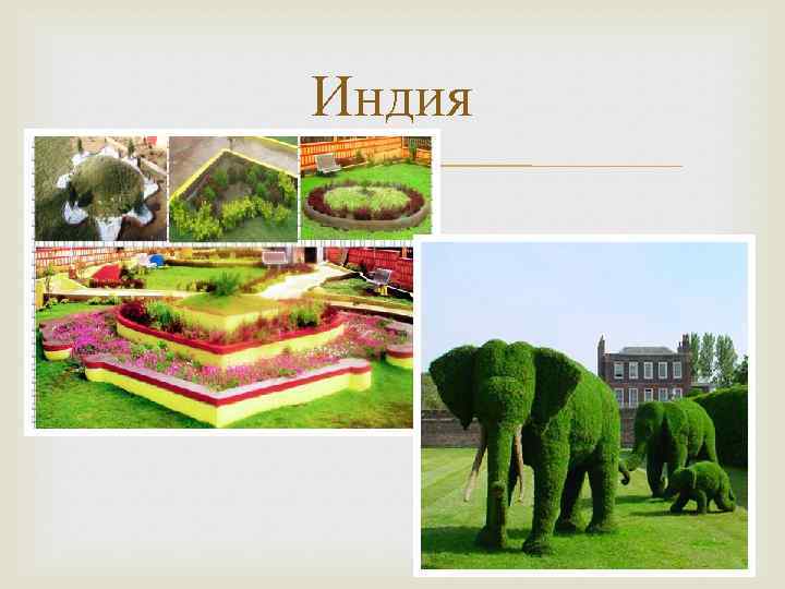Индия 