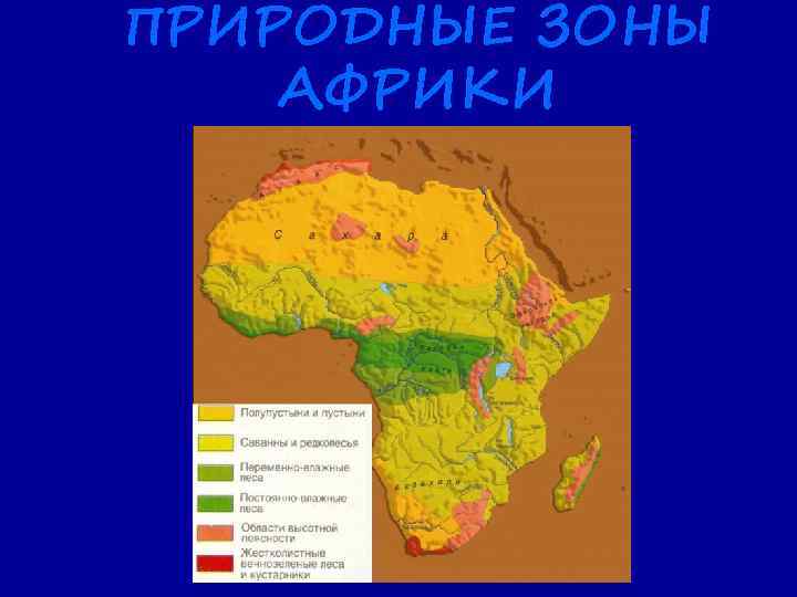 ПРИРОДНЫЕ ЗОНЫ АФРИКИ 