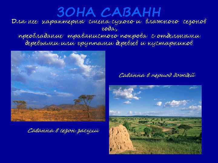 ЗОНА САВАНН Для нее характерны смена сухого и влажного сезонов года, преобладание травянистого покрова