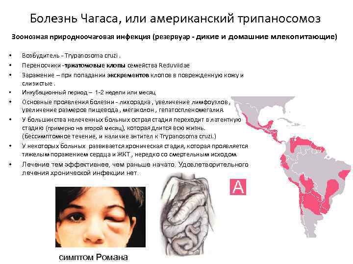 Болезнь Чагаса, или американский трипаносомоз Зоонозная природноочаговая инфекция (резервуар - дикие и домашние млекопитающие)