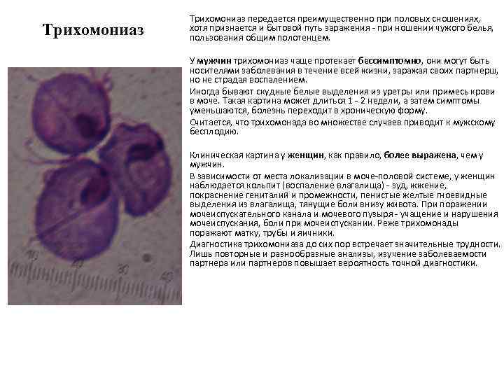 Трихомониаз передается преимущественно при половых сношениях, хотя признается и бытовой путь заражения - при