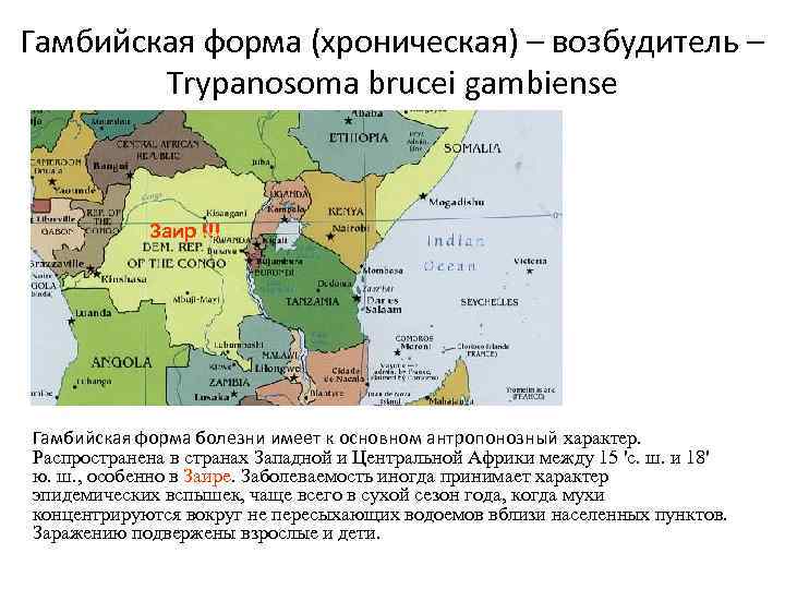 Гамбийская форма (хроническая) – возбудитель – Trypanosoma brucei gambiense Заир !!! Гамбийская форма болезни