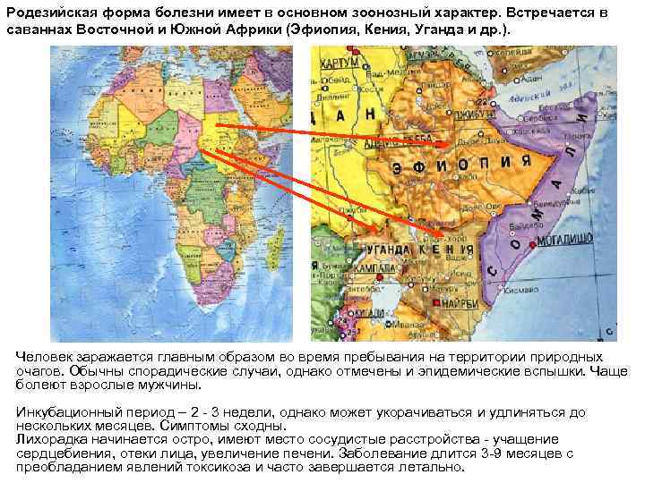 Родезийская форма болезни имеет в основном зоонозный характер. Встречается в саваннах Восточной и Южной