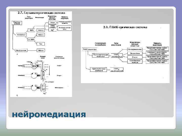 нейромедиация 