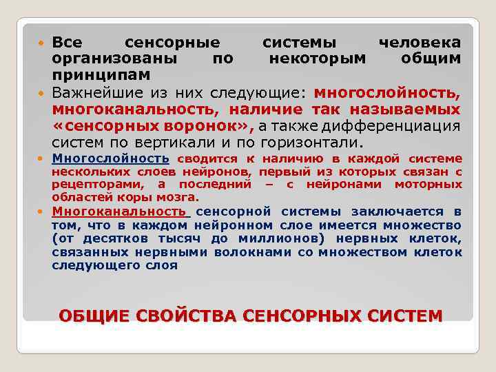 Все сенсорные системы человека организованы по некоторым общим принципам Важнейшие из них следующие: многослойность,