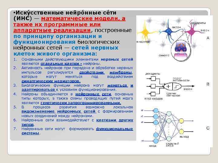  • Иску сственные нейро нные се ти (ИНС) — математические модели, а также