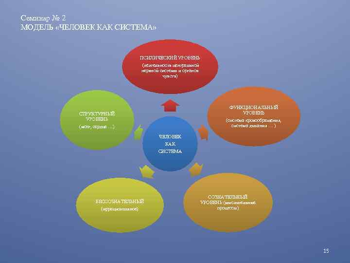 Семинар № 2 МОДЕЛЬ «ЧЕЛОВЕК КАК СИСТЕМА» ПСИХИЧЕСКИЙ УРОВЕНЬ (деятельность центральной нервной системы и