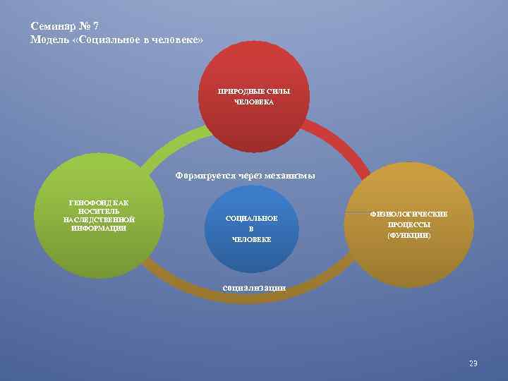 Семинар № 7 Модель «Социальное в человеке» ПРИРОДНЫЕ СИЛЫ ЧЕЛОВЕКА Формируется через механизмы ГЕНОФОНД
