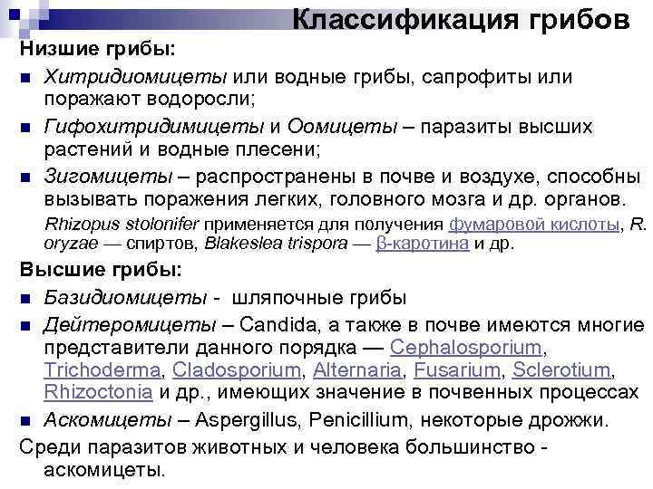 Классификация грибов Низшие грибы: n Хитридиомицеты или водные грибы, сапрофиты или поражают водоросли; n