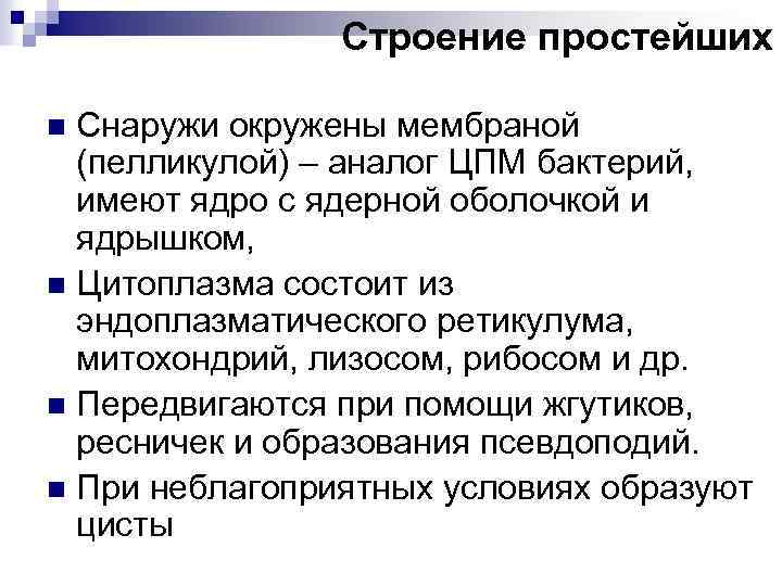 Строение простейших Снаружи окружены мембраной (пелликулой) – аналог ЦПМ бактерий, имеют ядро с ядерной