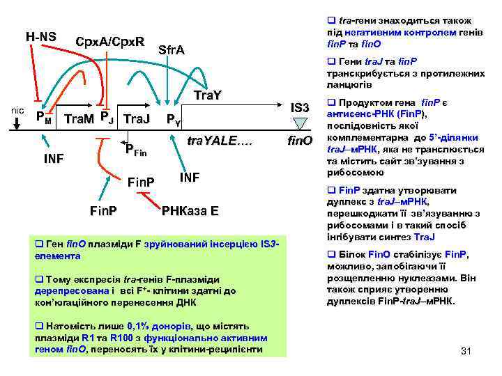 H-NS Cpx. A/Cpx. R q tra-гени знаходиться також під негативним контролем генів fin. P