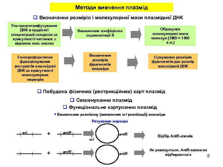 Методи вивчення плазмід q Визначення розмірів і молекулярної маси плазмідної ДНК Ультрацентрифугування ДНК в