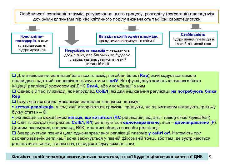 Особливості реплікації плазмід, регулювання цього процесу, розподілу (сегрегації) плазмід між дочірніми клітинами під час