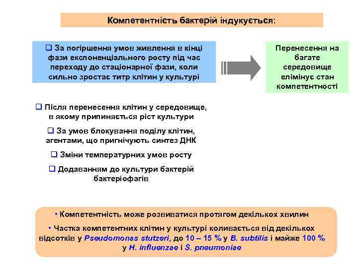Компетентність бактерій індукується: q За погіршення умов живлення в кінці фази експоненціального росту під