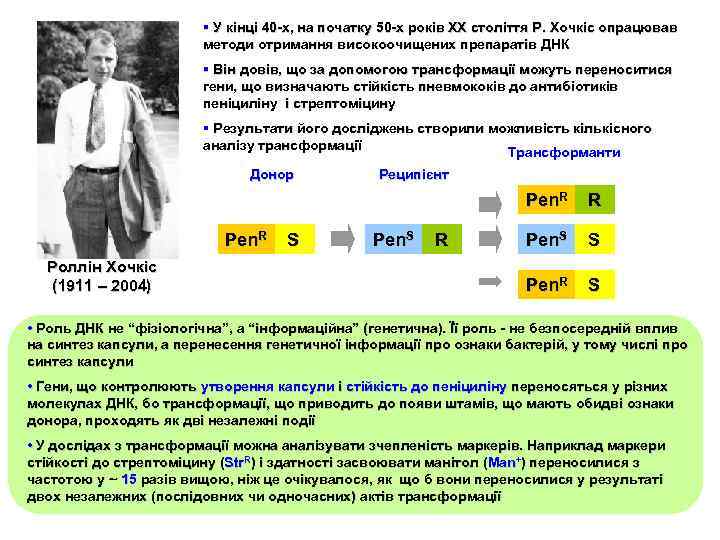 § У кінці 40 -х, на початку 50 -х років ХХ століття Р. Хочкіс