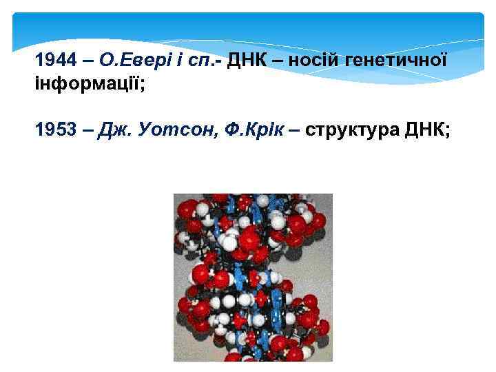 1944 – О. Евері і сп. - ДНК – носій генетичної інформації; 1953 –