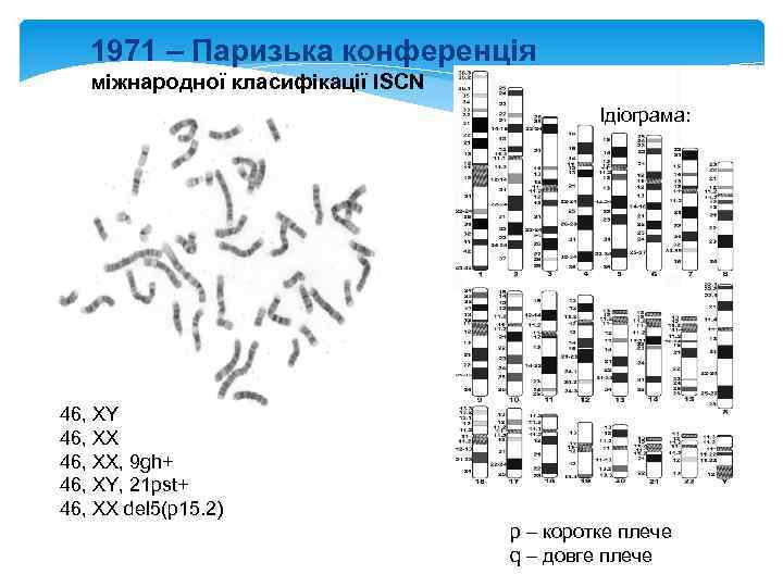 1971 – Паризька конференція міжнародної класифікації ISCN Ідіограма: 46, XY 46, XX, 9 gh+