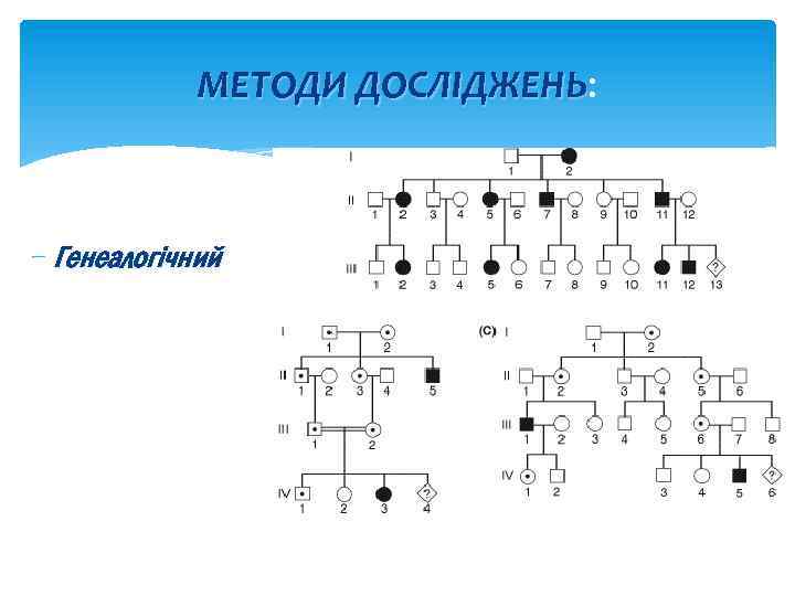 МЕТОДИ ДОСЛІДЖЕНЬ: ДОСЛІДЖЕНЬ - Генеалогічний 