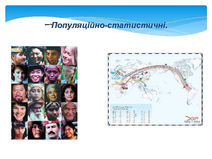 ーПопуляційно-статистичні. 