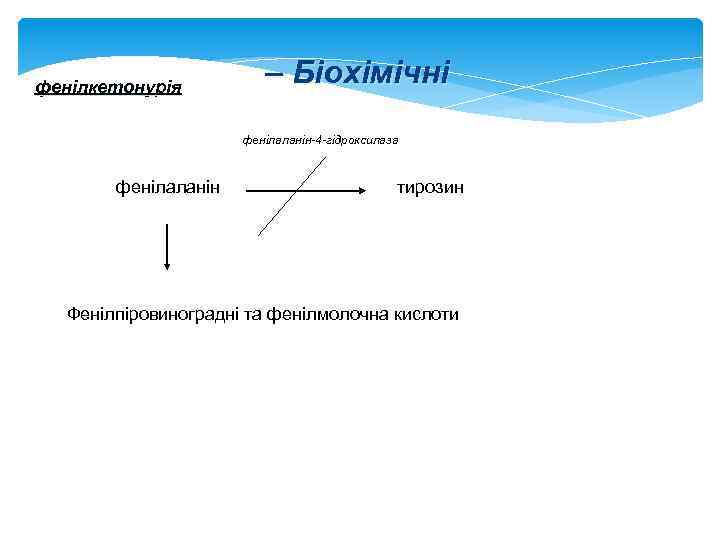 фенілкетонурія – Біохімічні фенілаланін-4 -гідроксилаза фенілаланін тирозин Фенілпіровиноградні та фенілмолочна кислоти 