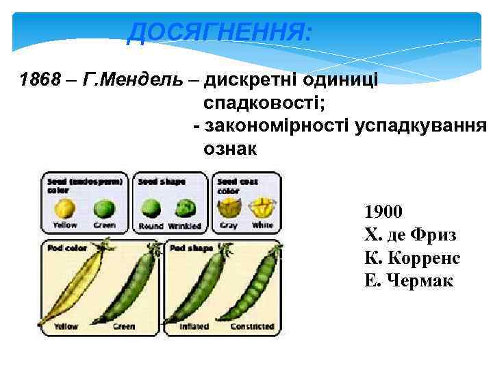 ДОСЯГНЕННЯ: 1868 – Г. Мендель – дискретні одиниці спадковості; - закономірності успадкування ознак 1900