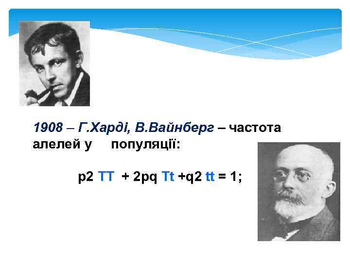 1908 – Г. Харді, В. Вайнберг – частота алелей у популяції: p 2 TT