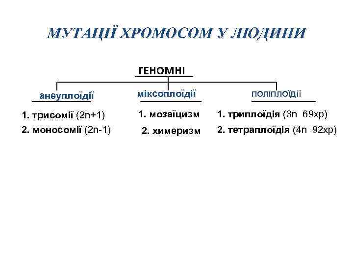 МУТАЦІЇ ХРОМОСОМ У ЛЮДИНИ ГЕНОМНІ анеуплоїдії міксоплоїдії 1. трисомії (2 n+1) 1. мозаїцизм 2.