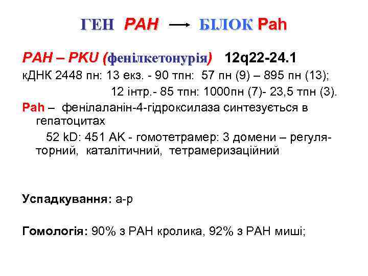 ГЕН РАН БІЛОК Pah PAH – PKU (фенілкетонурія) 12 q 22 -24. 1 к.