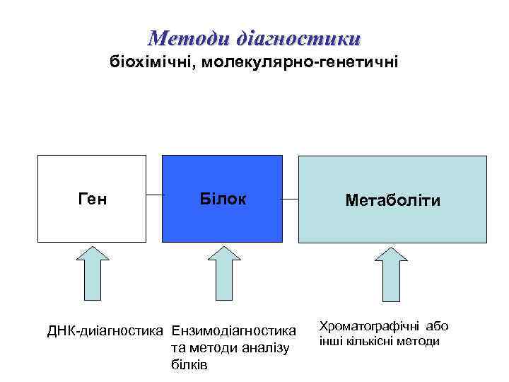 Методи діагностики біохімічні, молекулярно-генетичні Ген Білок ДНК-диіагностика Ензимодіагностика та методи аналізу білків Метаболіти Хроматографічні