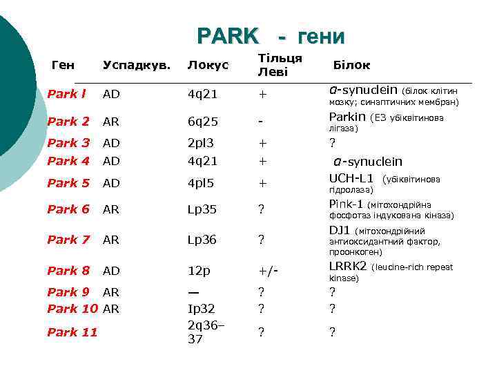 PARK - гени Ген Успадкув. Локус Тільця Леві Білок Park l AD 4 q