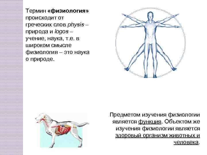 Термин «физиология» происходит от греческих слов physis – природа и logos – учение, наука,