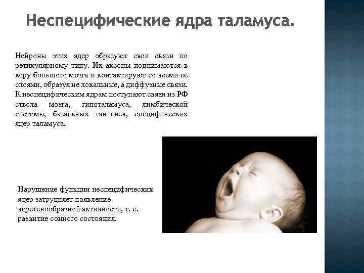 Неспецифические ядра таламуса. Нейроны этих ядер образуют свои связи по ретикулярному типу. Их аксоны