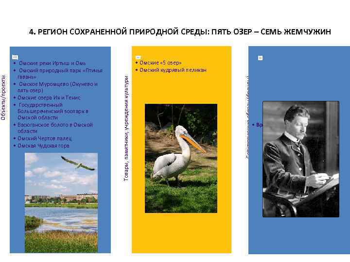  • Омские « 5 озер» • Омский кудрявый пеликан Сопутствующие образы (бренды) •