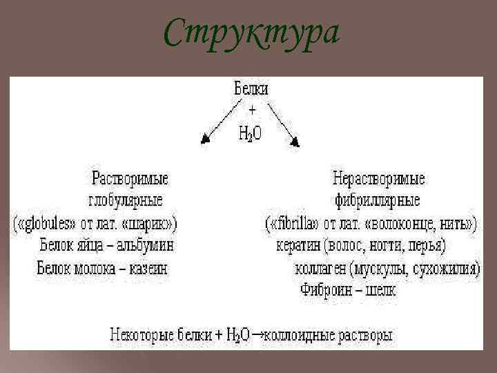 Структура 