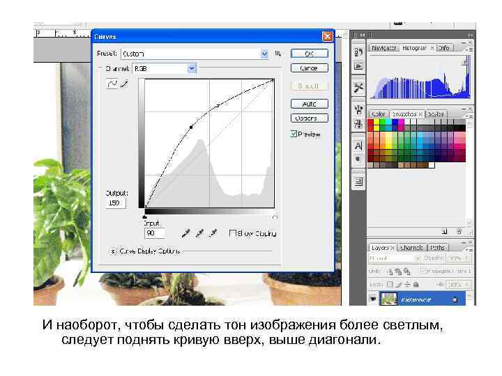 И наоборот, чтобы сделать тон изображения более светлым, следует поднять кривую вверх, выше диагонали.