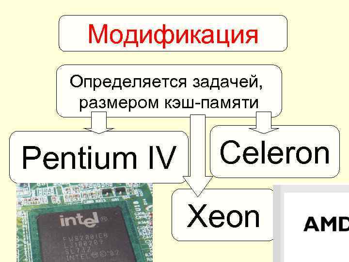 Модификация Определяется задачей, размером кэш-памяти Pentium IV Celeron Xeon 