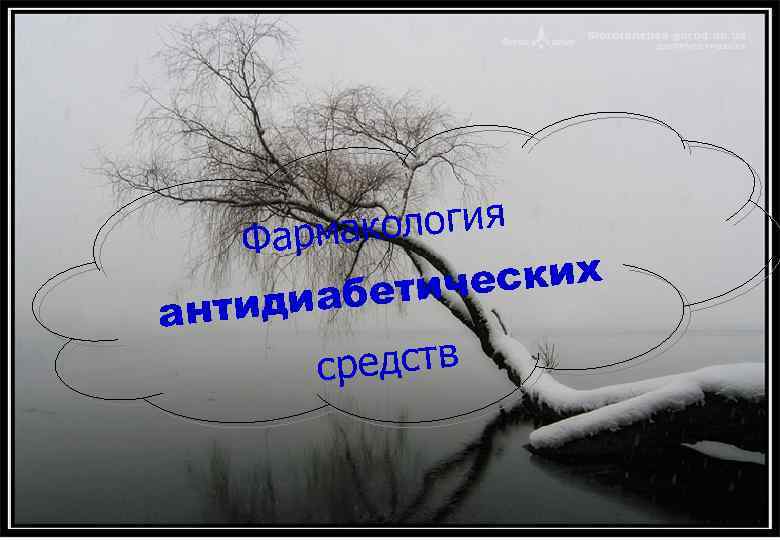 ант ология Фармак еских абетич иди средств 