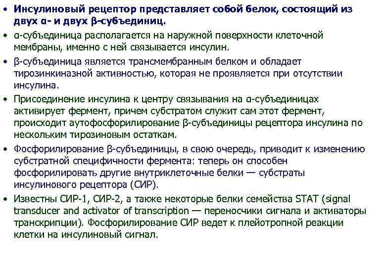  • Инсулиновый рецептор представляет собой белок, состоящий из двух α- и двух β-субъединиц.