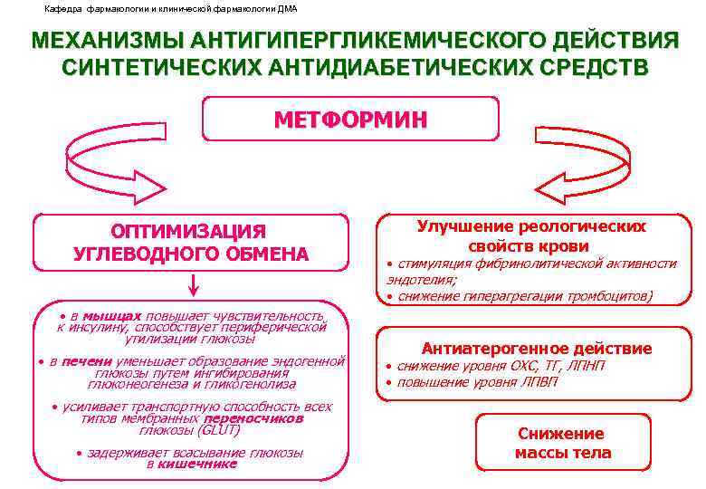 Кафедра фармакологии и клинической фармакологии ДМА МЕХАНИЗМЫ АНТИГИПЕРГЛИКЕМИЧЕСКОГО ДЕЙСТВИЯ СИНТЕТИЧЕСКИХ АНТИДИАБЕТИЧЕСКИХ СРЕДСТВ МЕТФОРМИН ОПТИМИЗАЦИЯ