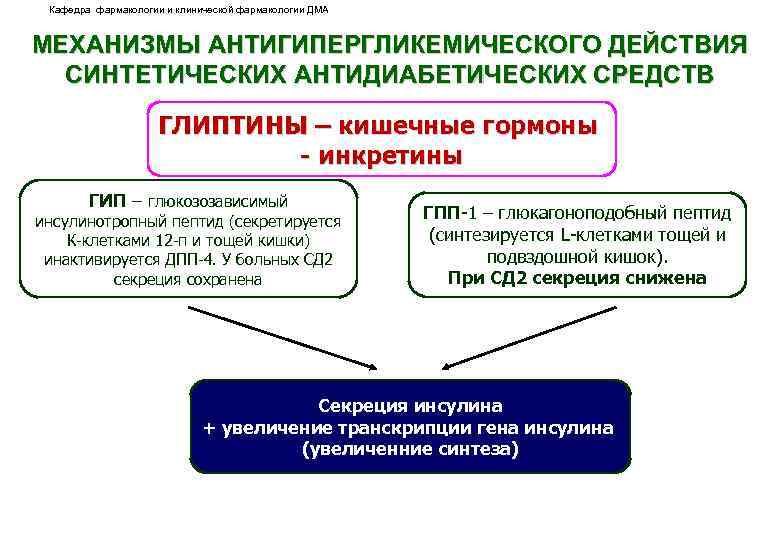 Кафедра фармакологии и клинической фармакологии ДМА МЕХАНИЗМЫ АНТИГИПЕРГЛИКЕМИЧЕСКОГО ДЕЙСТВИЯ СИНТЕТИЧЕСКИХ АНТИДИАБЕТИЧЕСКИХ СРЕДСТВ ГЛИПТИНЫ –