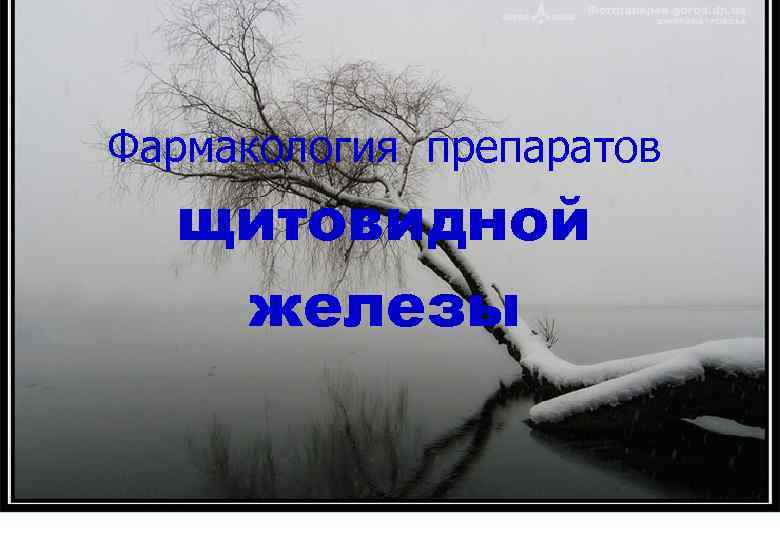 Фармакология препаратов щитовидной железы 