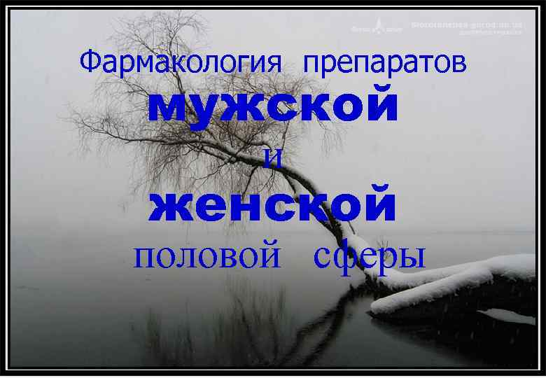 Фармакология препаратов мужской и женской половой сферы 