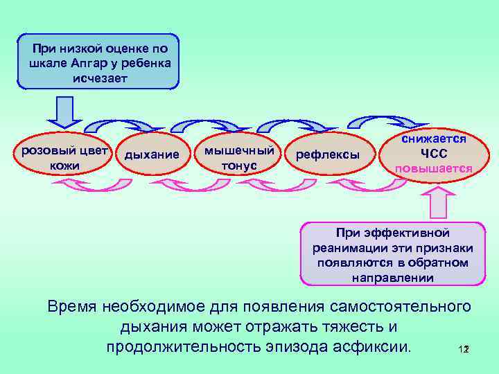 При низкой оценке по шкале Апгар у ребенка исчезает розовый цвет кожи дыхание мышечный