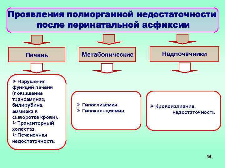 Печень Ø Нарушения функций печени (повышение трансаминаз, билирубина, аммиака в сыворотке крови). Ø Транзиторный