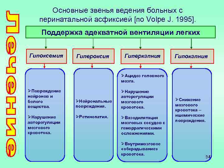 Основные звенья ведения больных с перинатальной асфиксией [по Volpe J. 1995]. Поддержка адекватной вентиляции