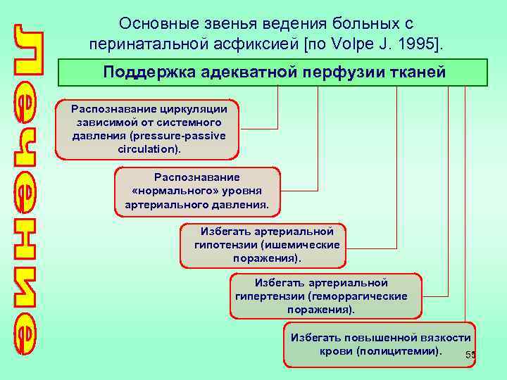 Основные звенья ведения больных с перинатальной асфиксией [по Volpe J. 1995]. Поддержка адекватной перфузии
