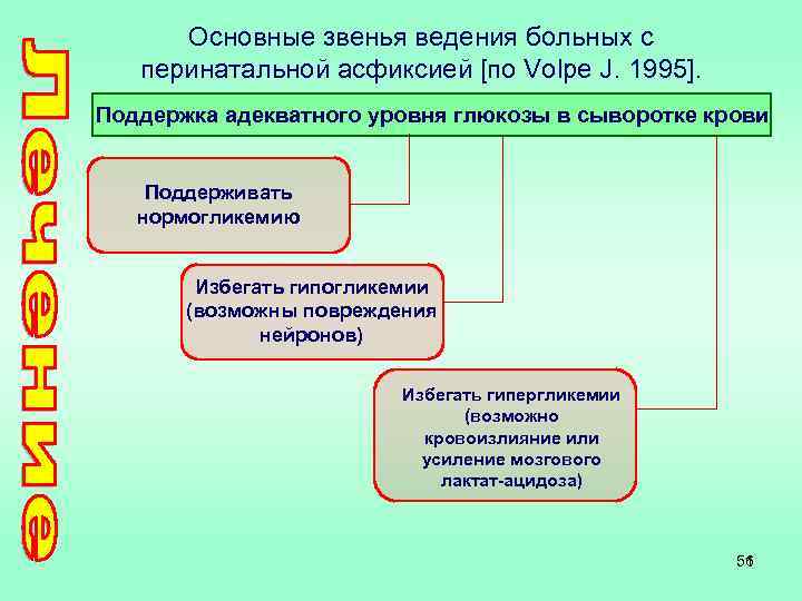 Основные звенья ведения больных с перинатальной асфиксией [по Volpe J. 1995]. Поддержка адекватного уровня