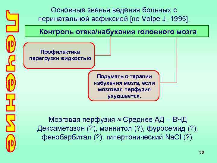 Основные звенья ведения больных с перинатальной асфиксией [по Volpe J. 1995]. Контроль отека/набухания головного