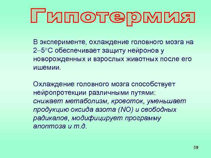 В эксперименте, охлаждение головного мозга на 2 5 С обеспечивает защиту нейронов у новорожденных
